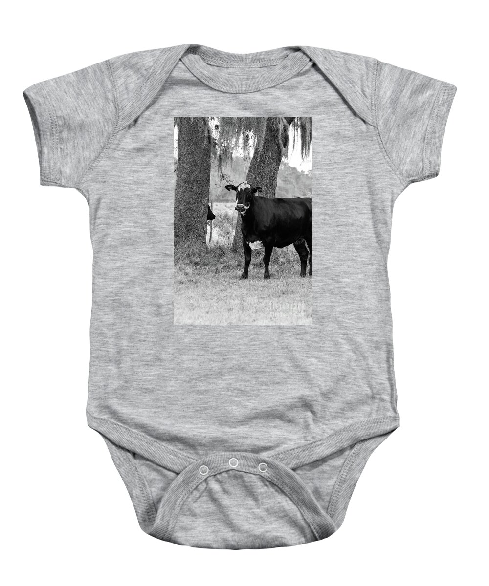 Spanish Moss Baby Onesie featuring the photograph Cow Gaze, Black and White by Liesl Walsh