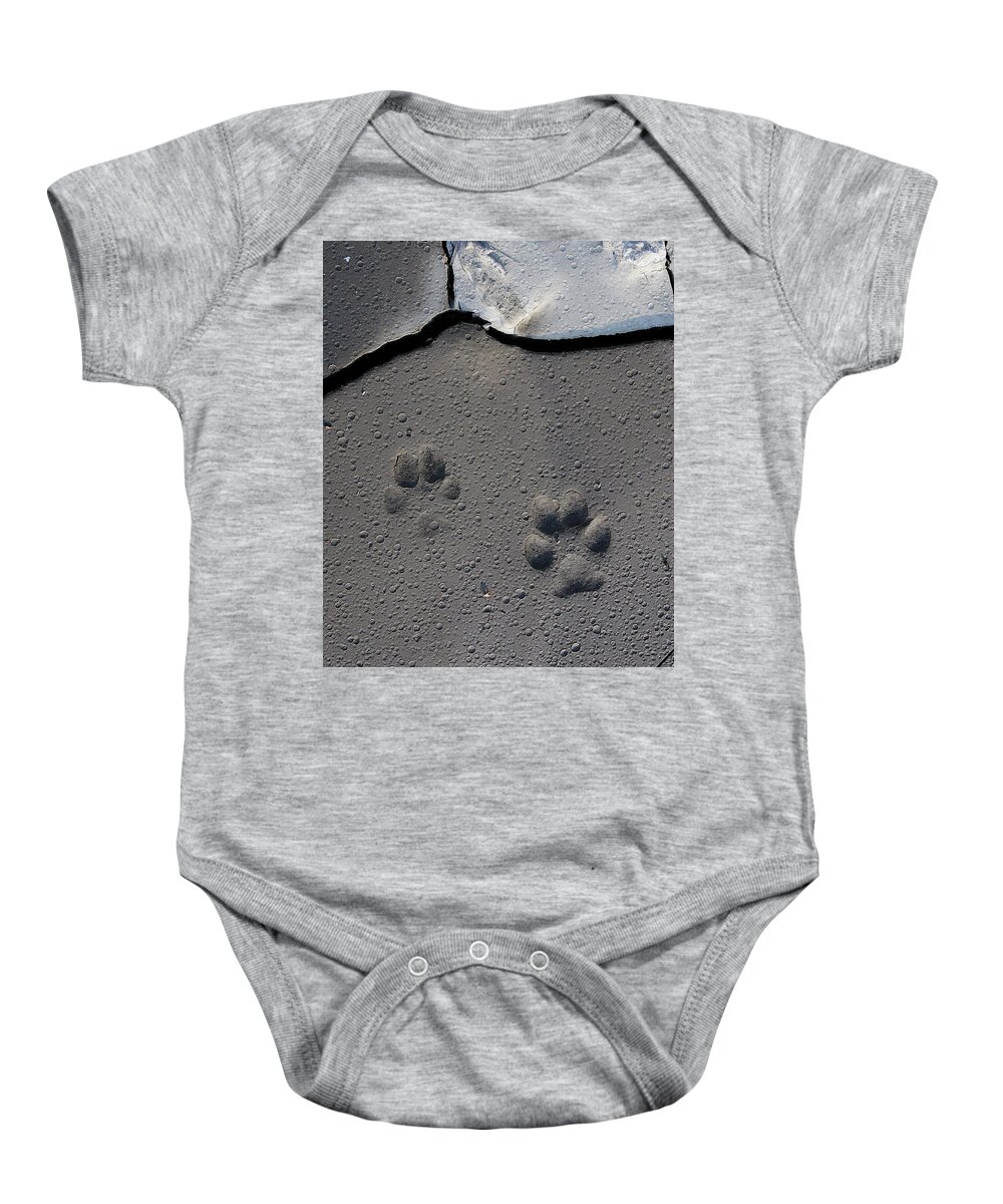 Wild Places Baby Onesie featuring the photograph Coyote Tracks by Mark Miller