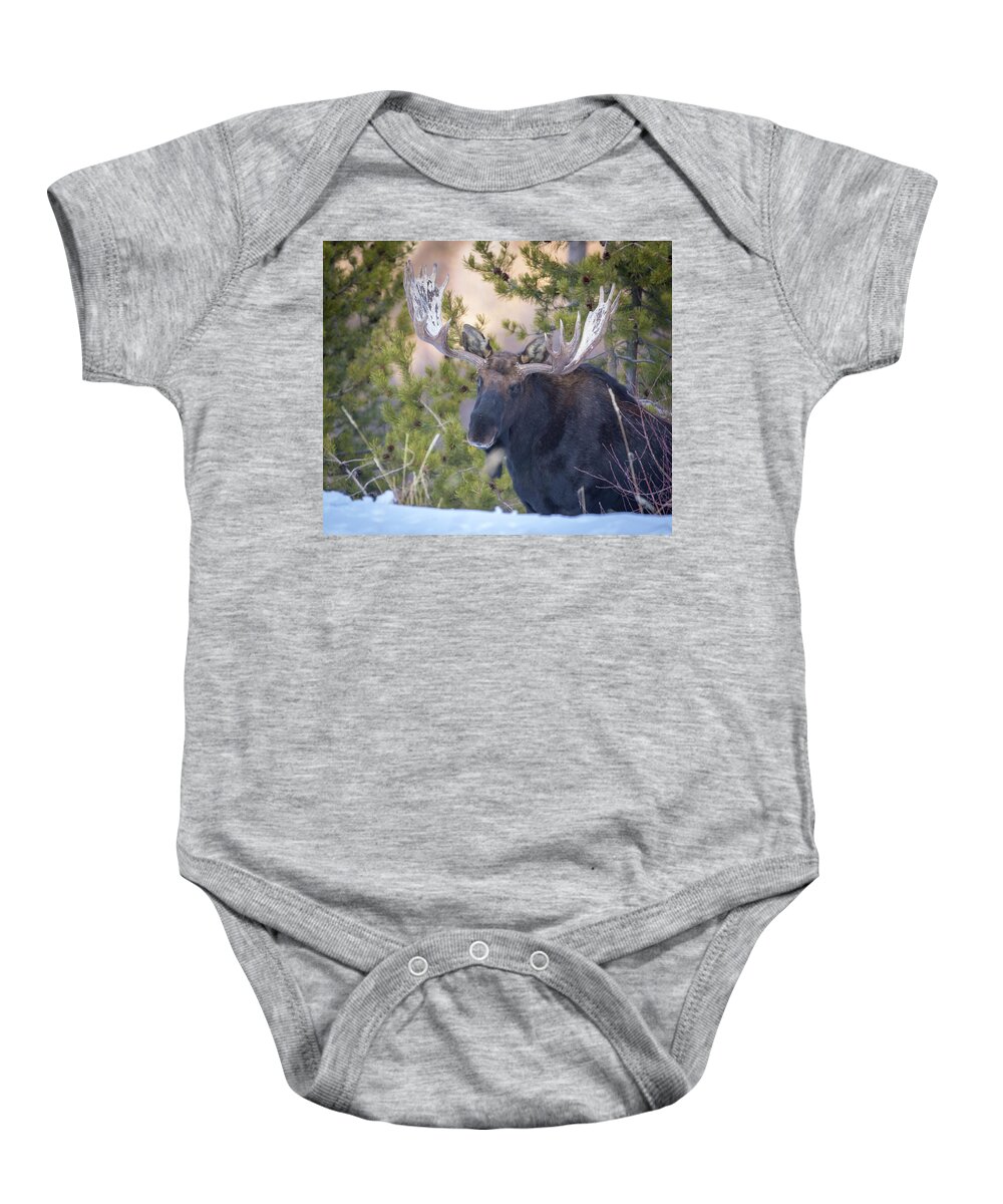 Moose Baby Onesie featuring the photograph Creekside by Kevin Dietrich