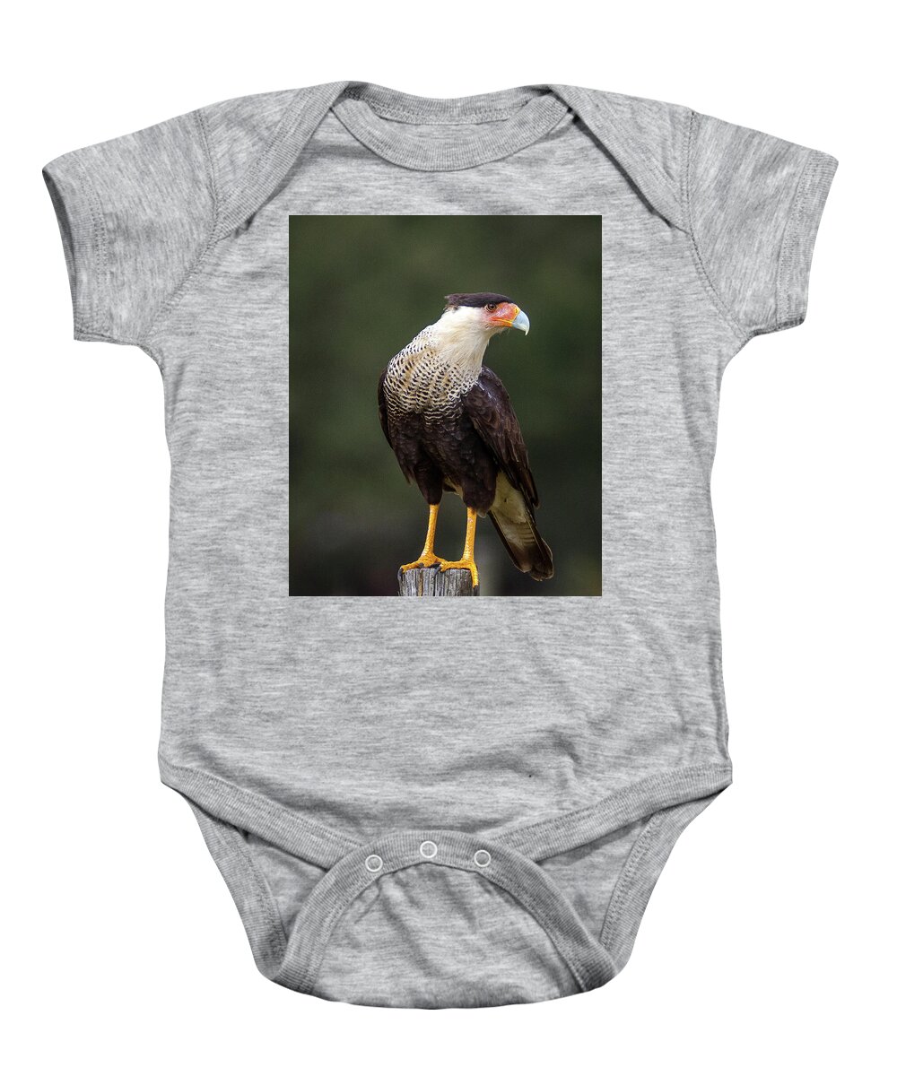 Large Baby Onesie featuring the photograph Crested Caracara by Ronald Lutz
