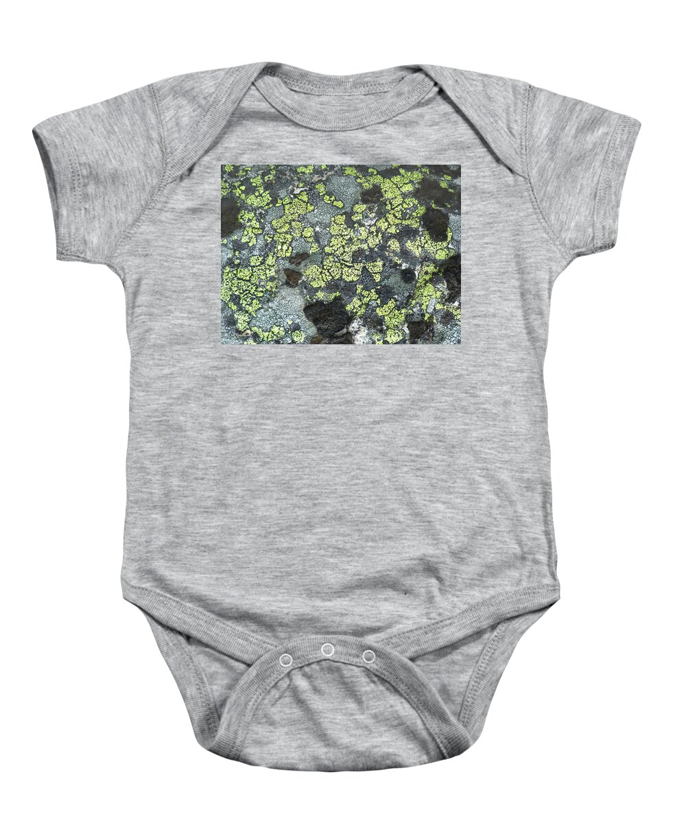 Lichen Baby Onesie featuring the photograph D07343-DC Lichen on Rock by Ed Cooper Photography