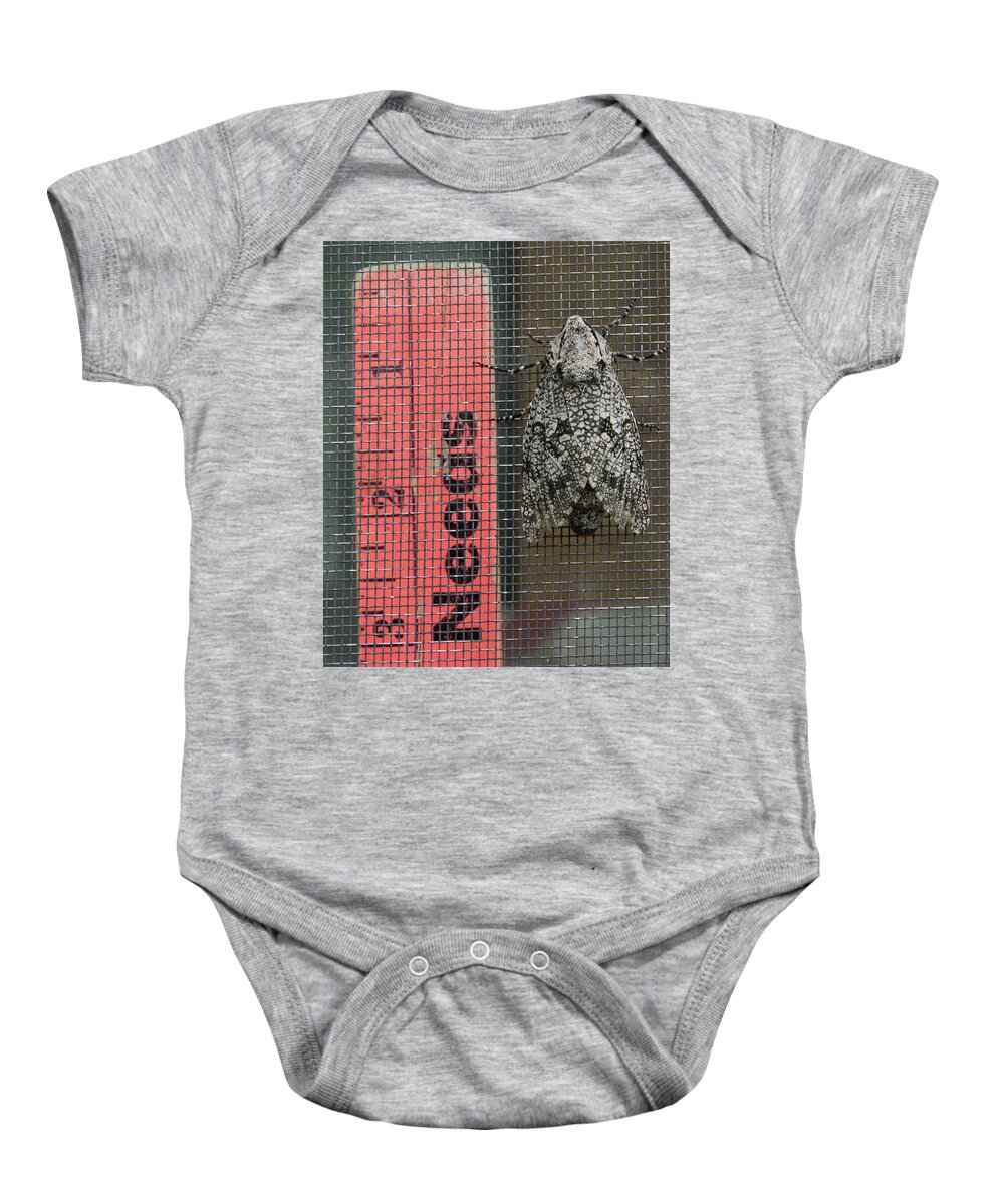 Insect Baby Onesie featuring the photograph D2B6309 Insect on Sonoma Mountain by Ed Cooper Photography