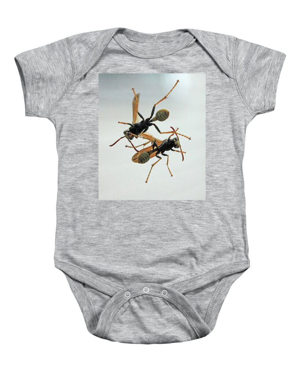Insect Baby Onesie featuring the photograph D2B6337 Wasps on Sonoma Mountain by Ed Cooper Photography