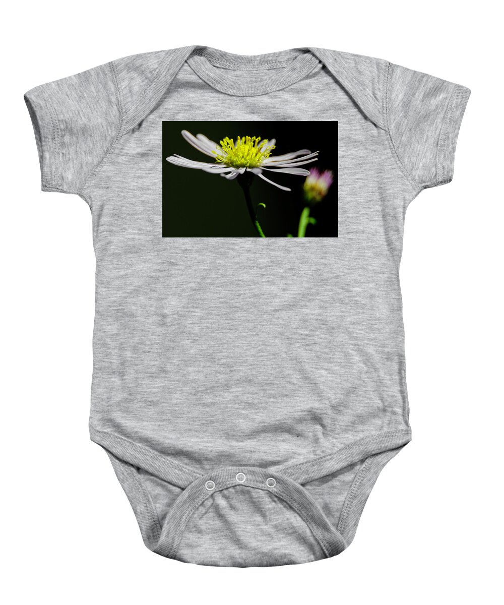 Daisy Baby Onesie featuring the photograph Daisy center stage by Wolfgang Stocker