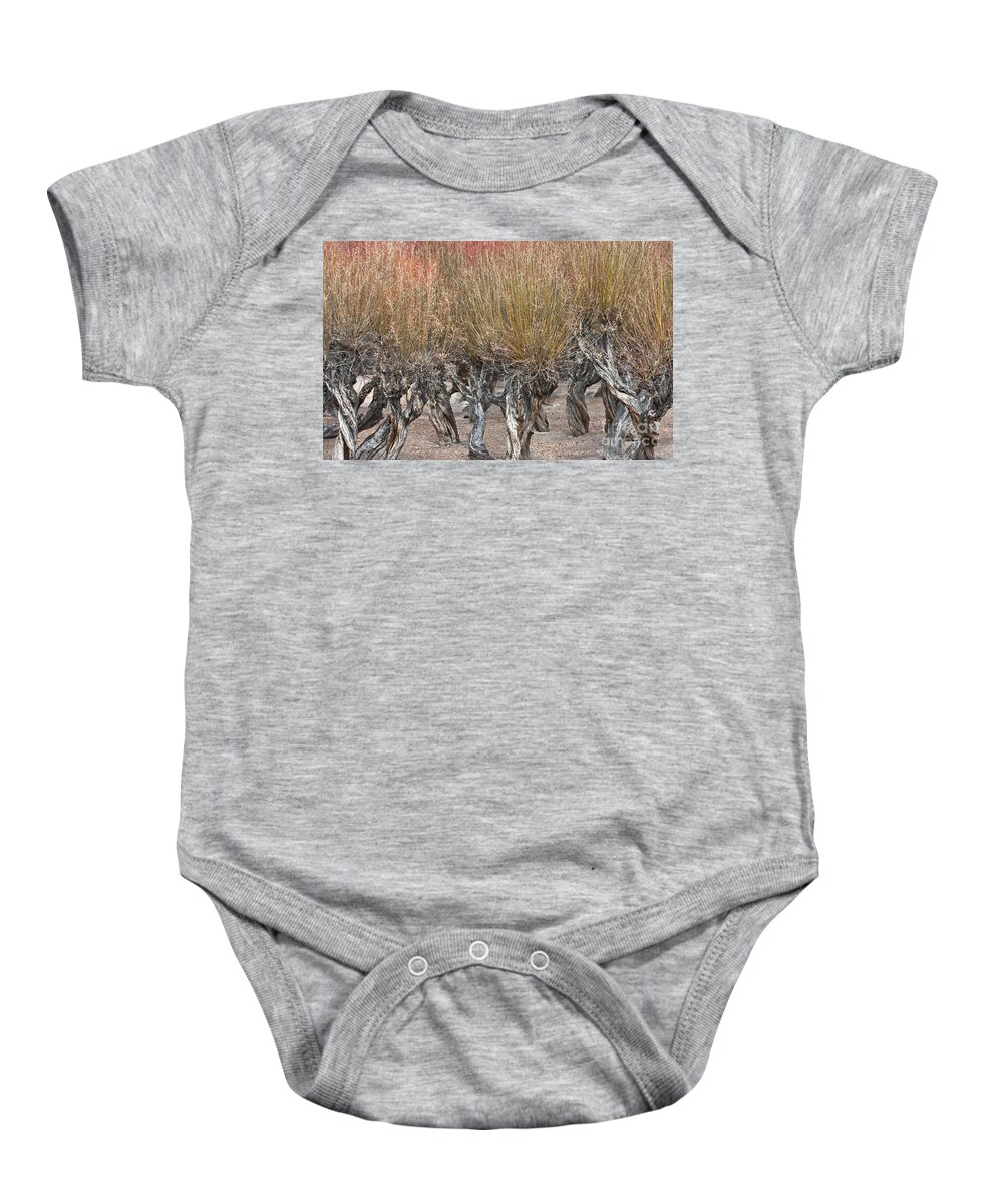 Dancing Trees Baby Onesie featuring the photograph Dancing trees by Hitendra SINKAR