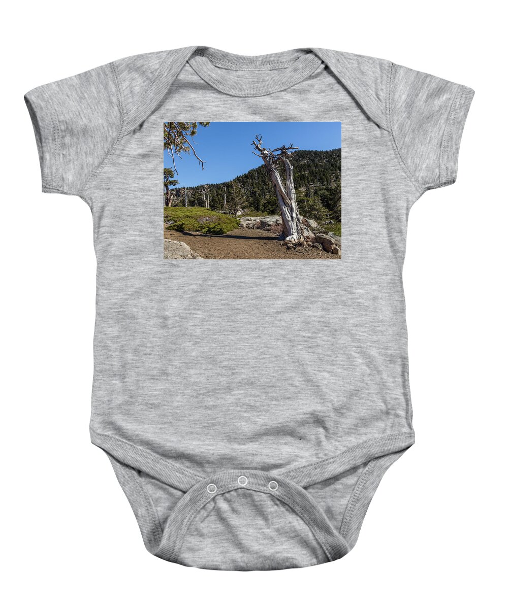 Socal Baby Onesie featuring the photograph Dead Tree by Ed Clark