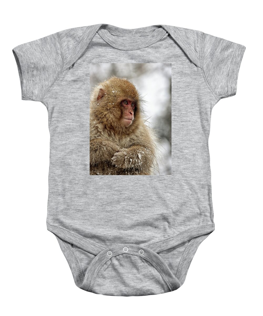 Snow Monkey Baby Onesie featuring the photograph Deep in Thought by Kuni Photography