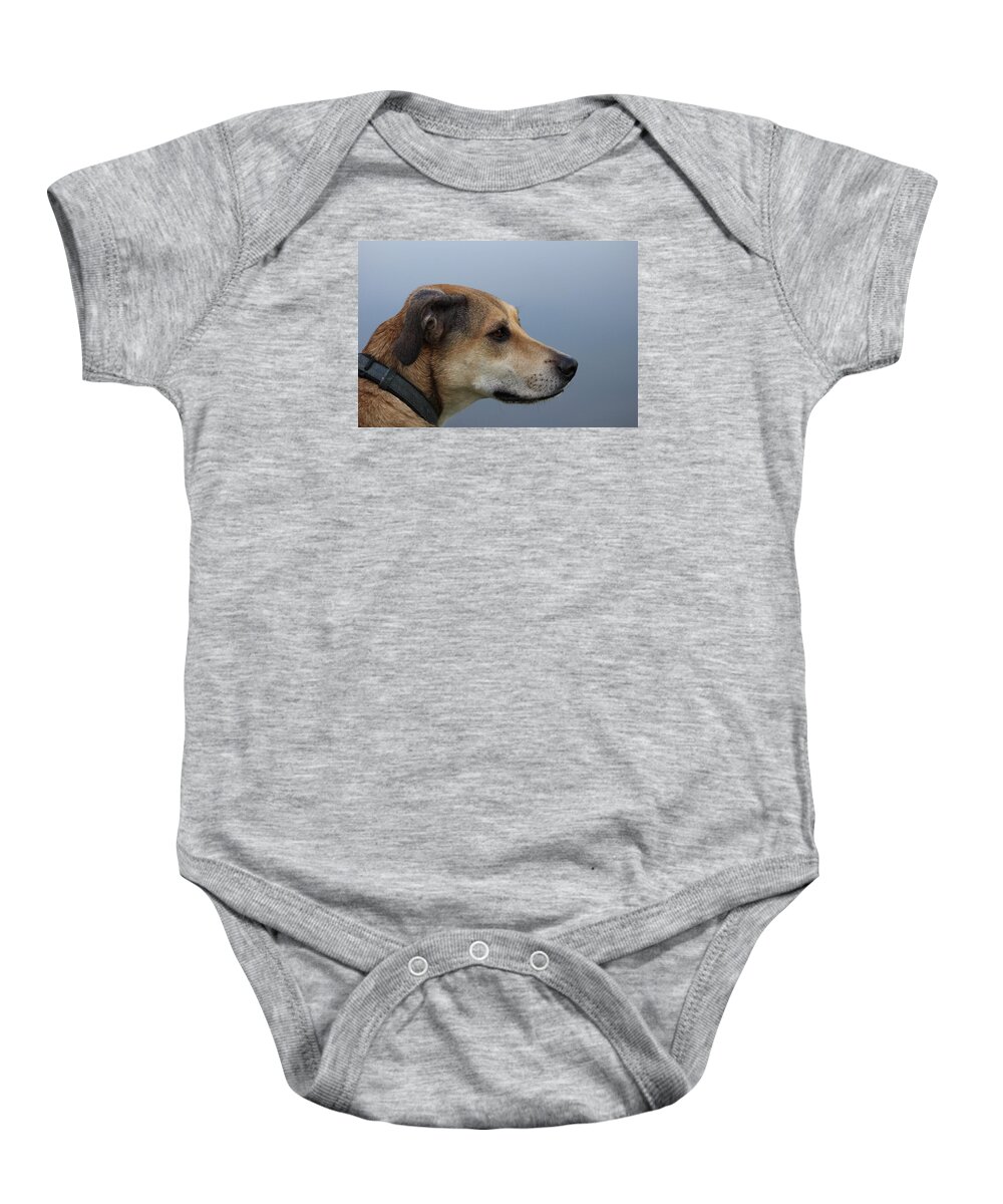 Dogs Baby Onesie featuring the photograph Deep In Thought by Tim Kuret