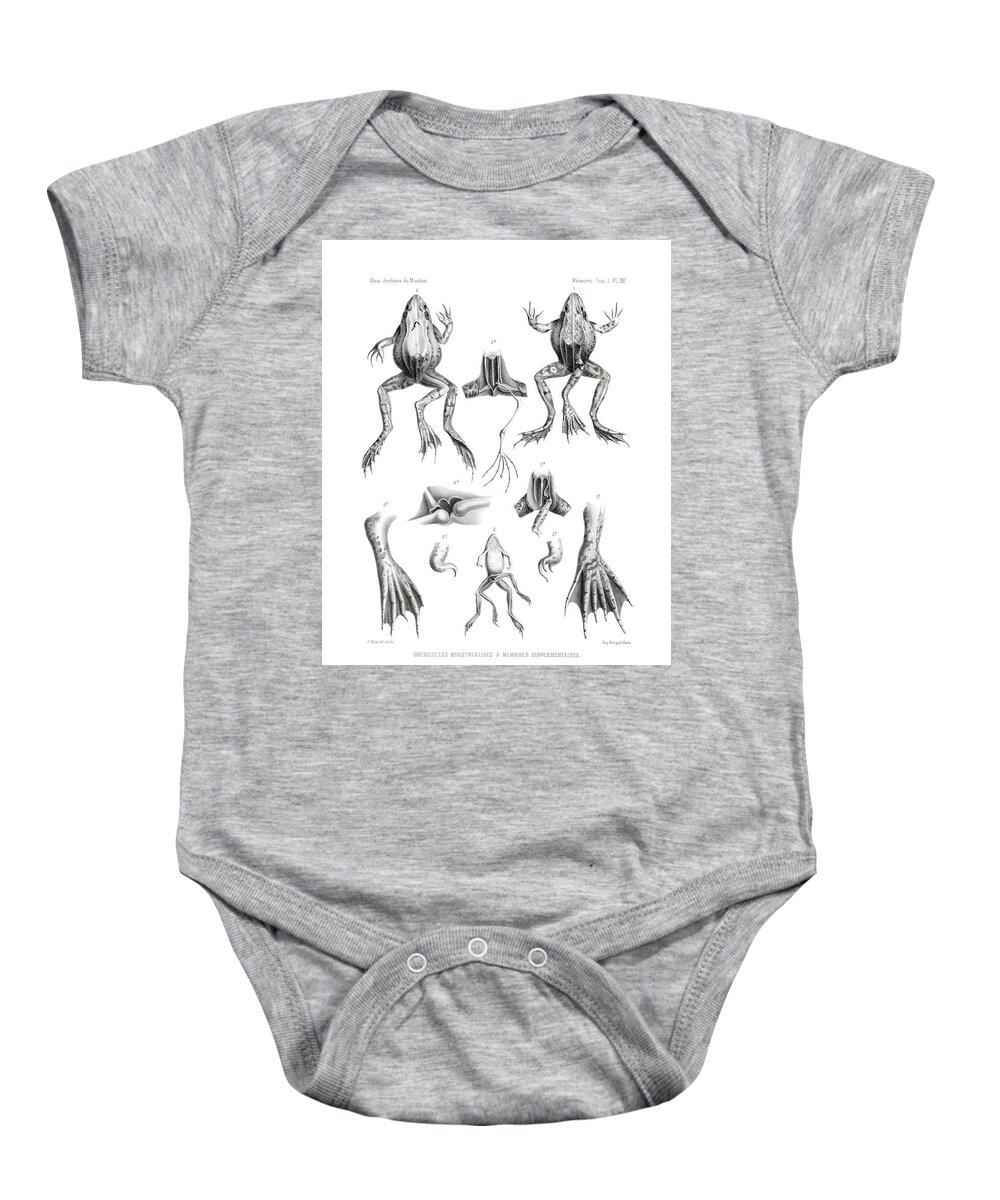 Frog Baby Onesie featuring the drawing Deformed frogs by Joseph Huet