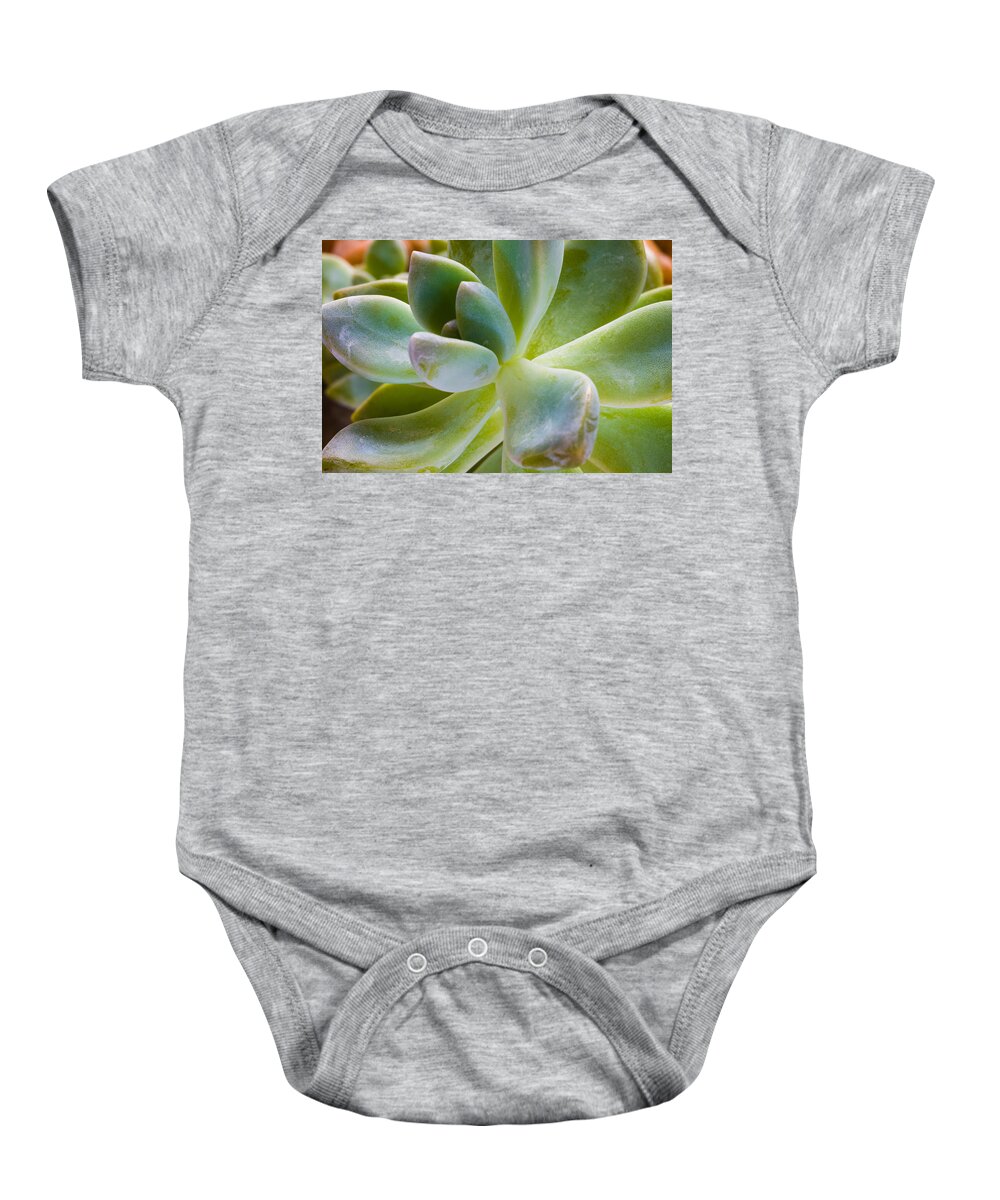 Beautiful Baby Onesie featuring the photograph Blue Pearl Plant by Raul Rodriguez