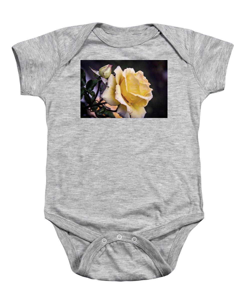 Rose Baby Onesie featuring the photograph Dew on a rose by Vanessa Thomas