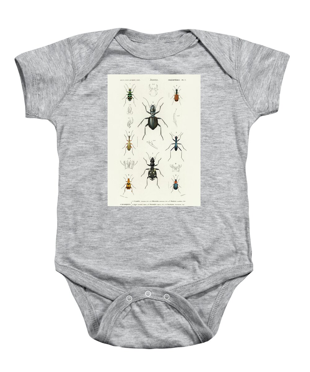 Tricondyla Aptera Baby Onesie featuring the painting Different illustrated types of beetles by Vincent Monozlay
