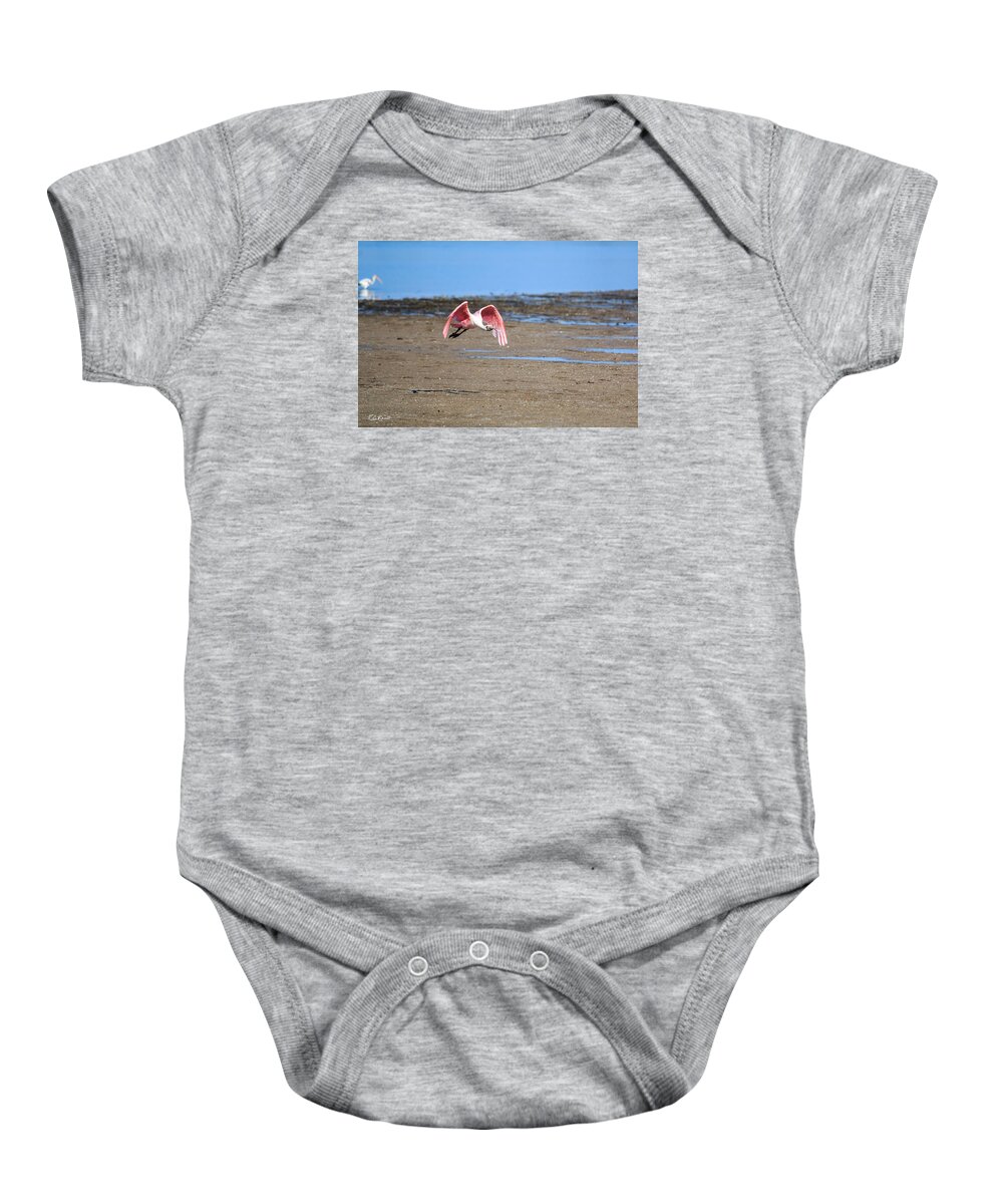 Florida Baby Onesie featuring the photograph Ding Darling - Roseate Spoonbill - Taking Flight by Ronald Reid