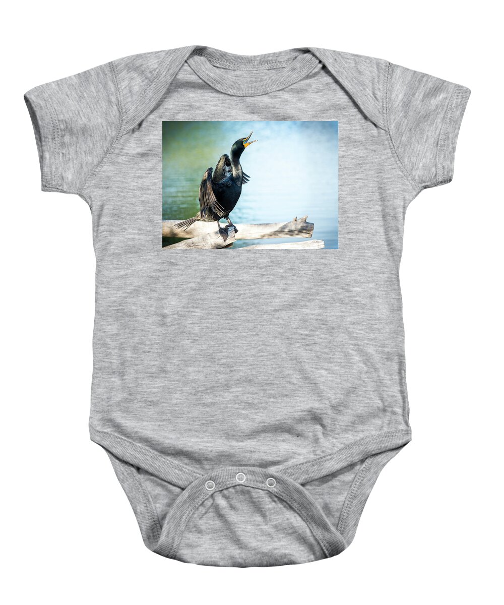 Cormorants Baby Onesie featuring the photograph Double-Crested Cormorant by Judi Dressler