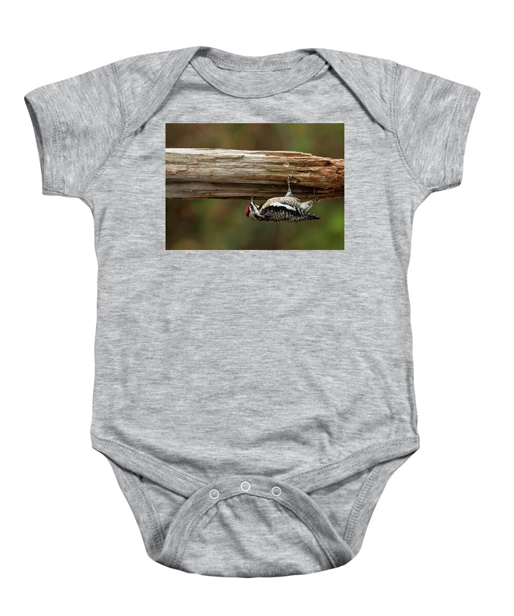 Bird Baby Onesie featuring the photograph Hairy Woodpecker by Daniel Reed