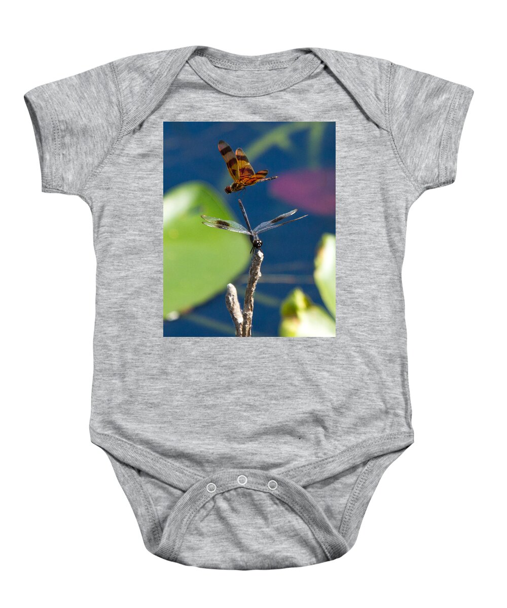 Dragon Fly Baby Onesie featuring the photograph Dragon Fly 195 by Michael Fryd
