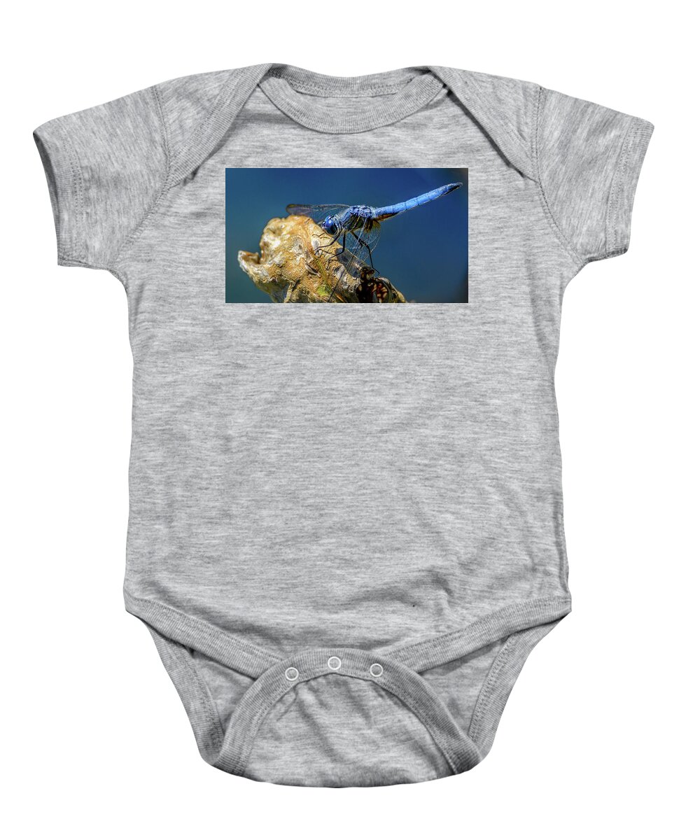 Dragon Fly Baby Onesie featuring the photograph Dragon Fly by Jerry Cahill