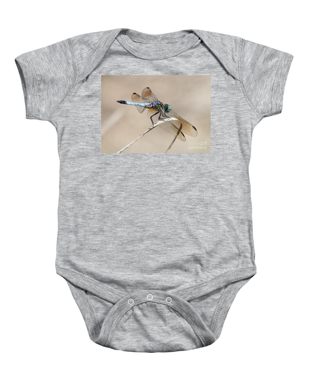 Dragonfly Baby Onesie featuring the photograph Dragonfly on Bent Reed by Carol Groenen