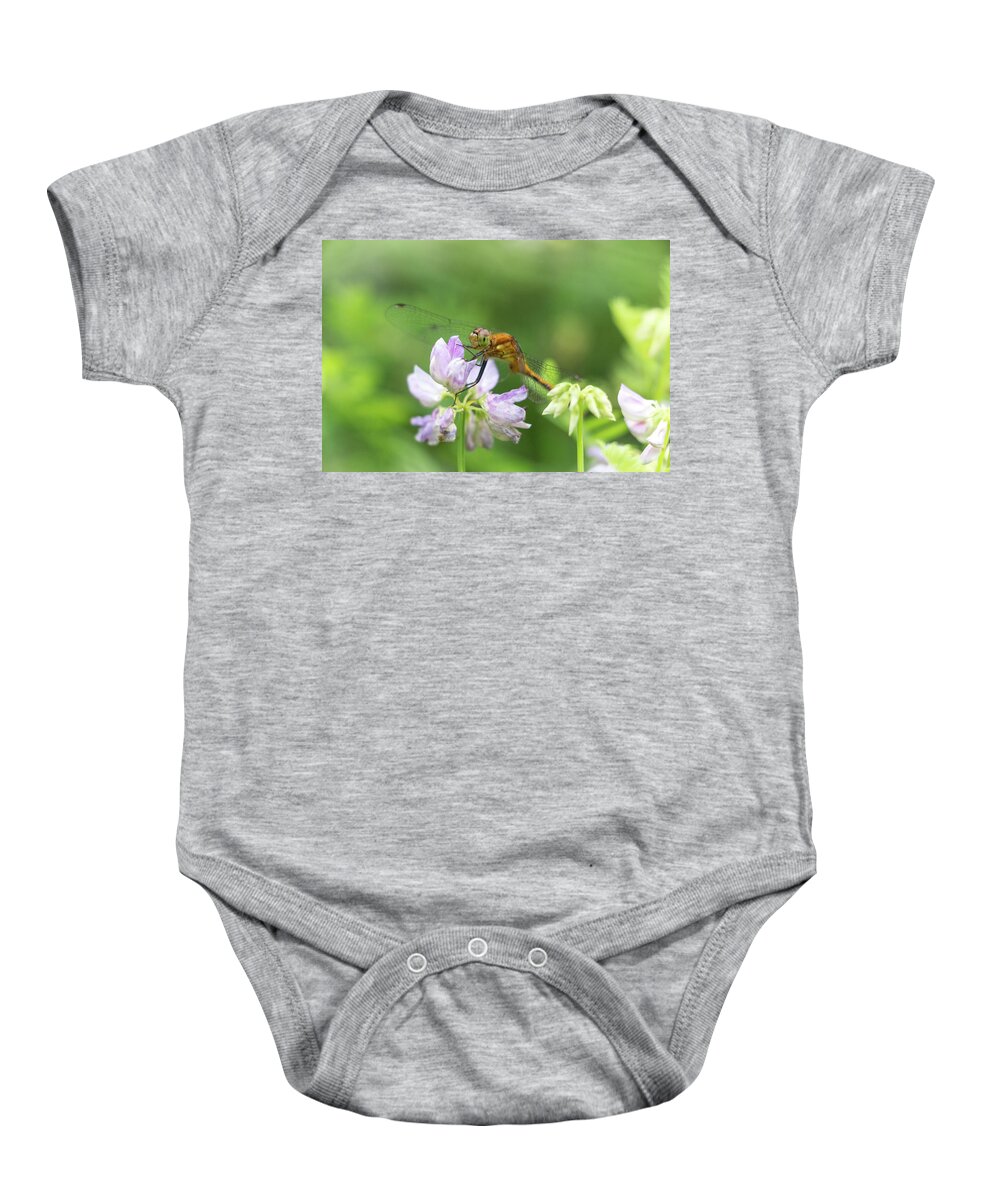 Dragonfly Dragon Fly Flies Dragonflies Flower Flowers Botany Botanical Botanic Nature Outside Outdoors Closeup Close Up Close-up Macro Garden Gardening Brian Hale Brianhalephoto Ma Mass Massachusetts Baby Onesie featuring the photograph Dragonfly on Flowers by Brian Hale