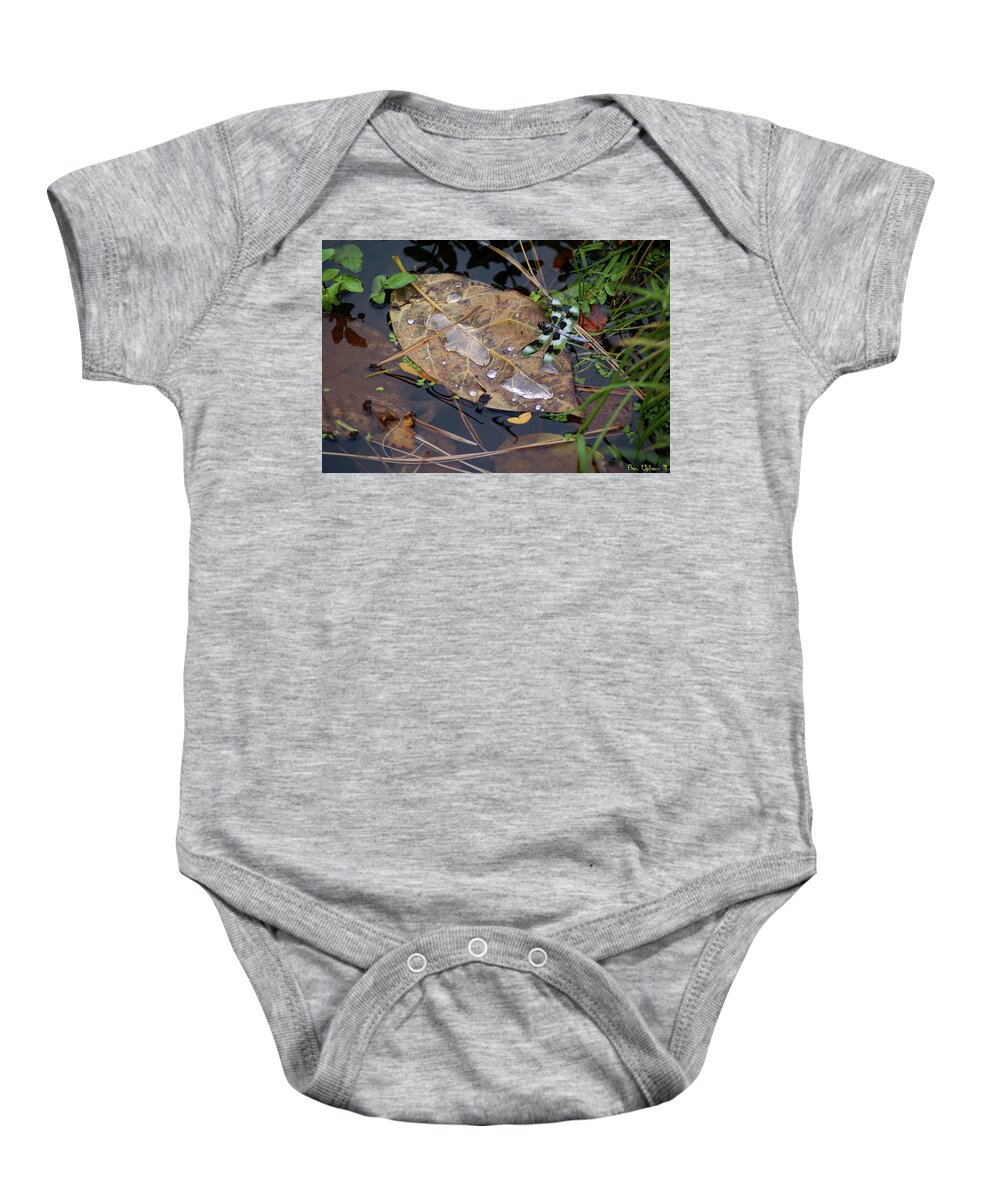 Nature Baby Onesie featuring the photograph Dragonfly on Leaf in Creek by Ben Upham III