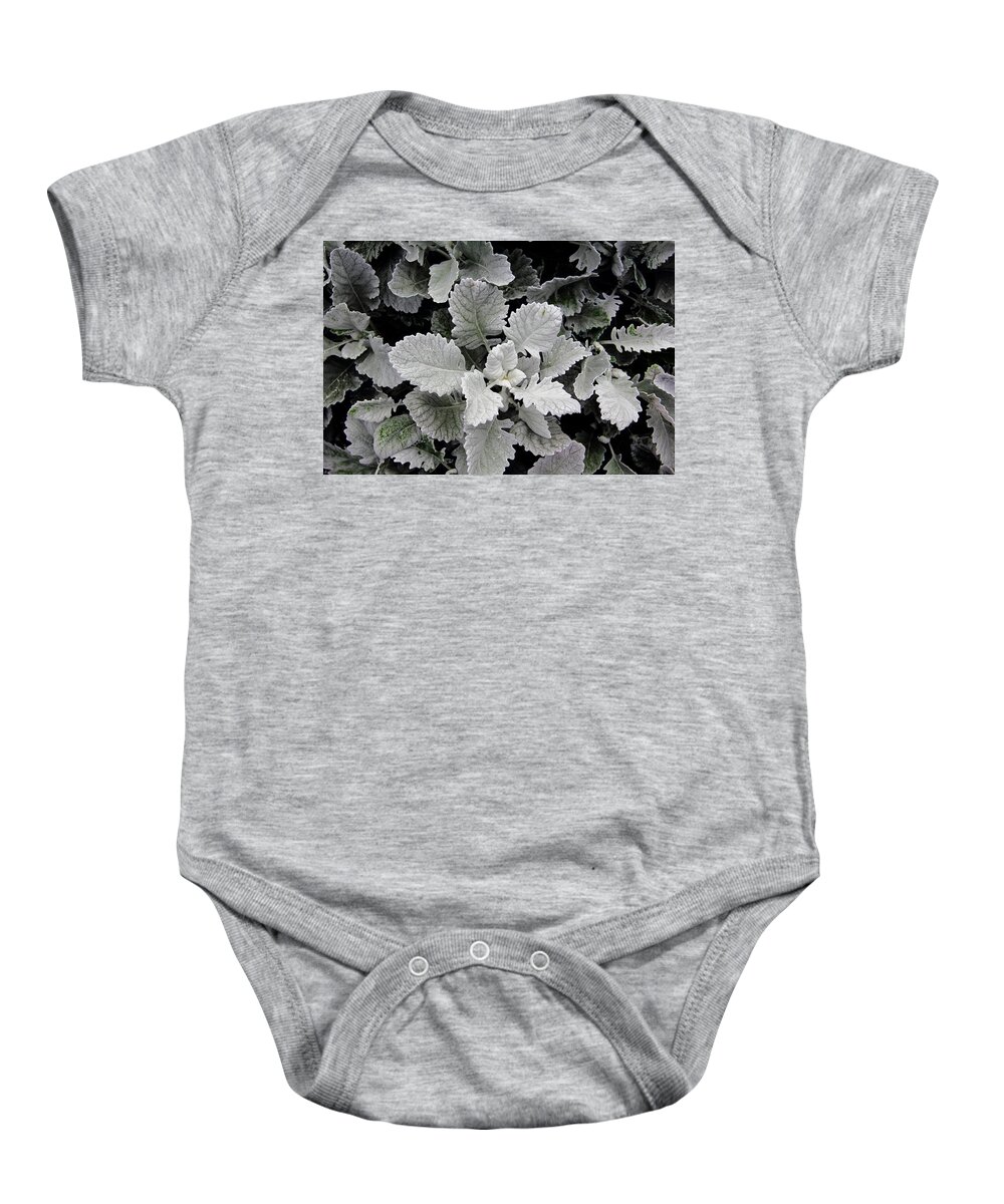 Plant Baby Onesie featuring the photograph Dusty Miller by Allen Nice-Webb