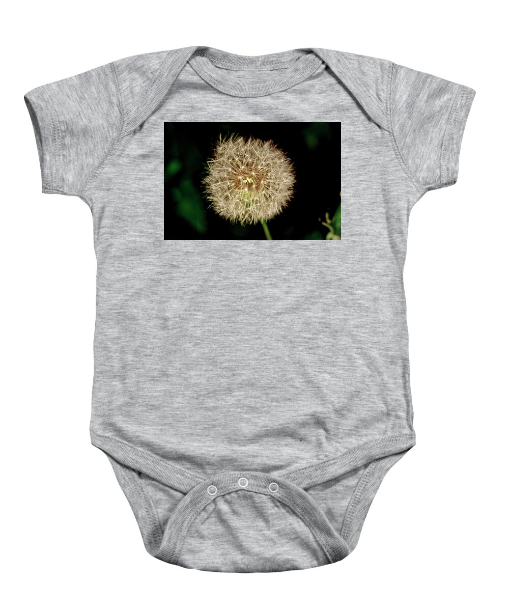 Dandelion Baby Onesie featuring the photograph Early in the morning. by Elena Perelman