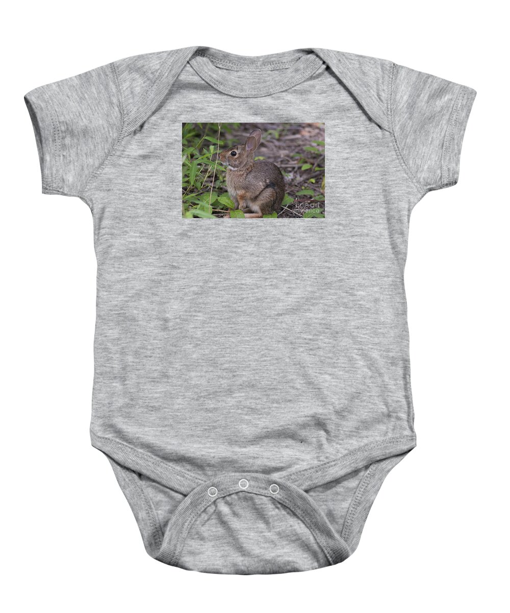 Bunny Baby Onesie featuring the photograph Eastern Cottontail 20120624_11a by Tina Hopkins