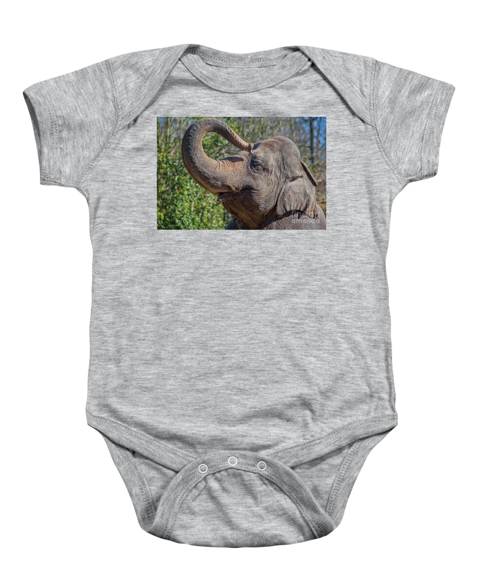 Elephant Baby Onesie featuring the photograph Elephant With Curled Trunk by Kimberly Blom-Roemer