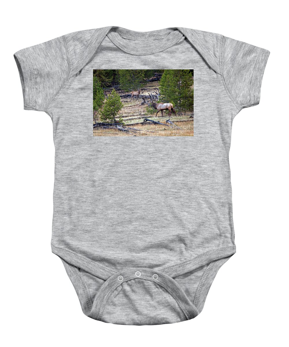 Elk Baby Onesie featuring the photograph Elk in Yellowstone by Cindy Murphy - NightVisions