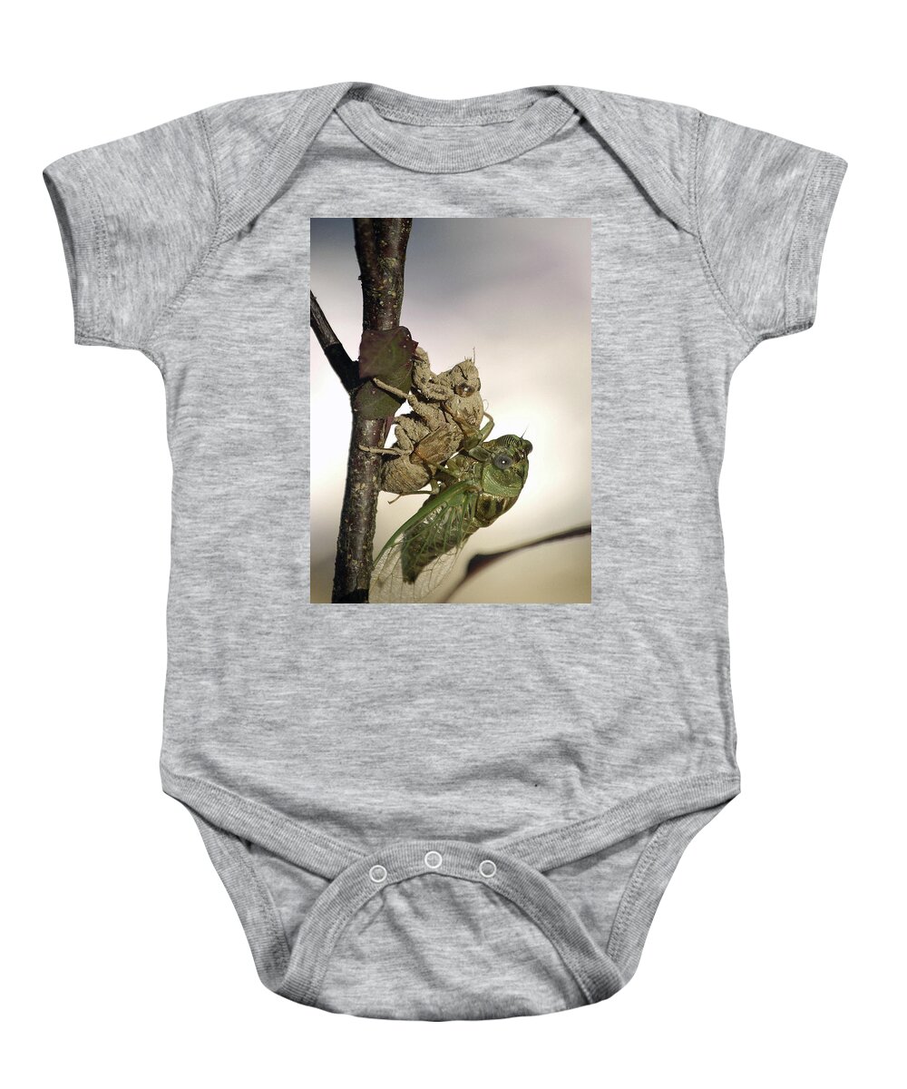 Nature Baby Onesie featuring the photograph Emerging - Cicada 2 by DArcy Evans