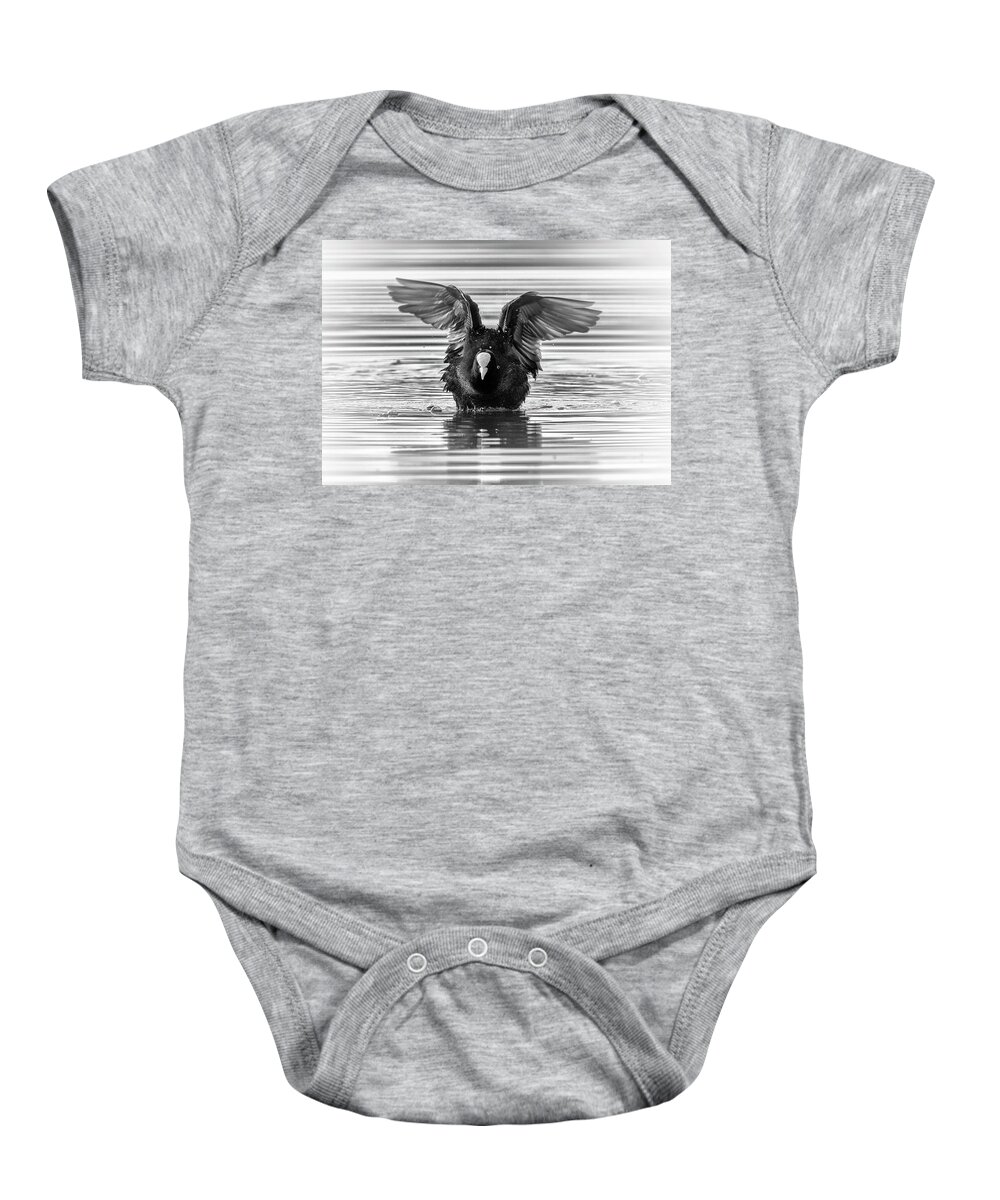 Coot Baby Onesie featuring the photograph Eurasian or common coot, fulicula atra, duck by Elenarts - Elena Duvernay photo