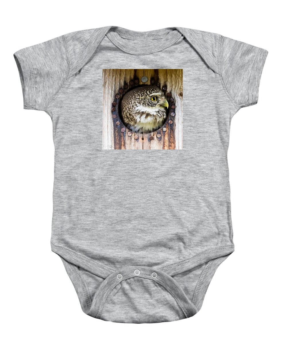 Eurasian Pygmy Owl Baby Onesie featuring the photograph Eurasian pygmy owl in profile by Torbjorn Swenelius