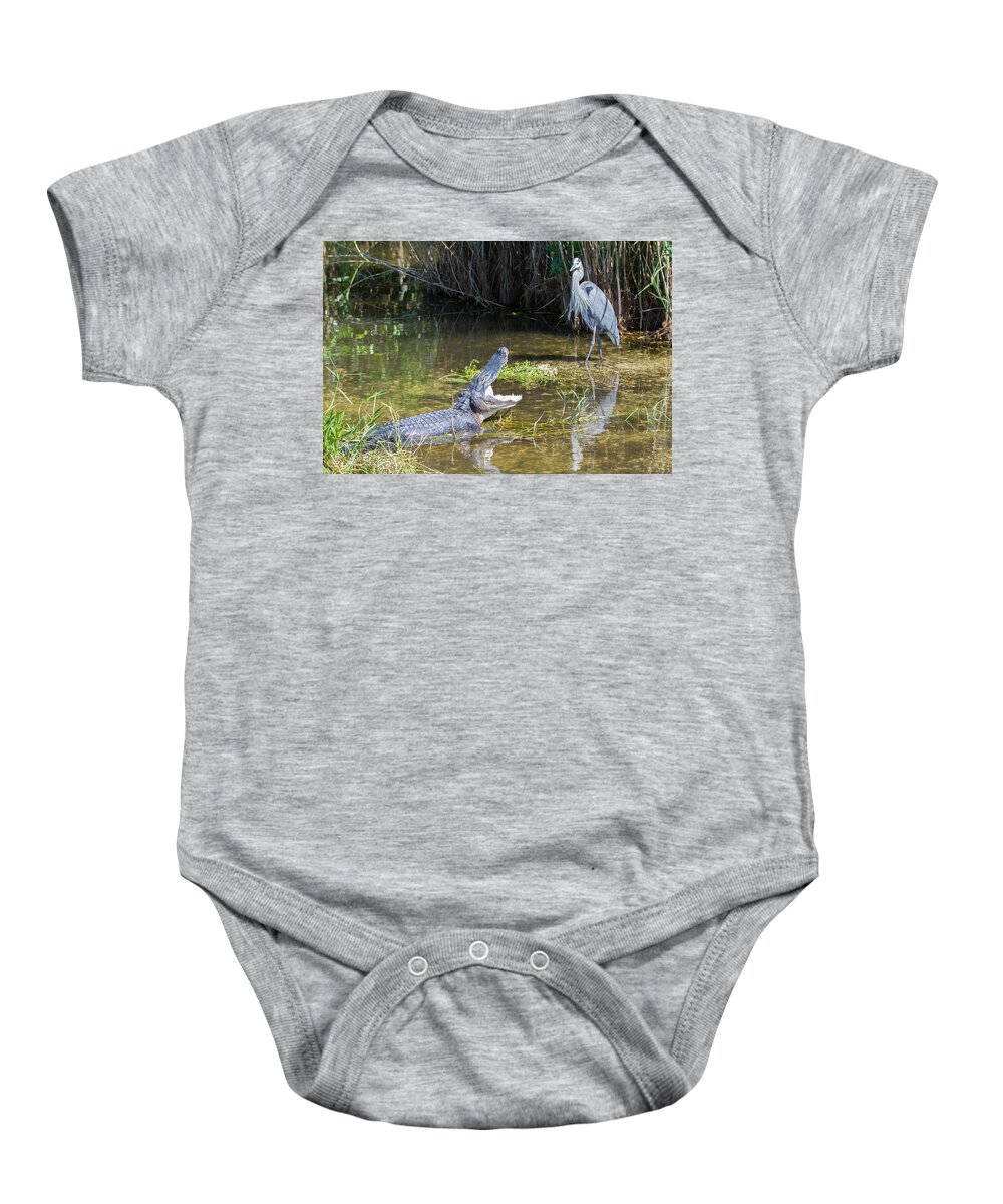 Everglades National Park Baby Onesie featuring the photograph Everglades 431 by Michael Fryd