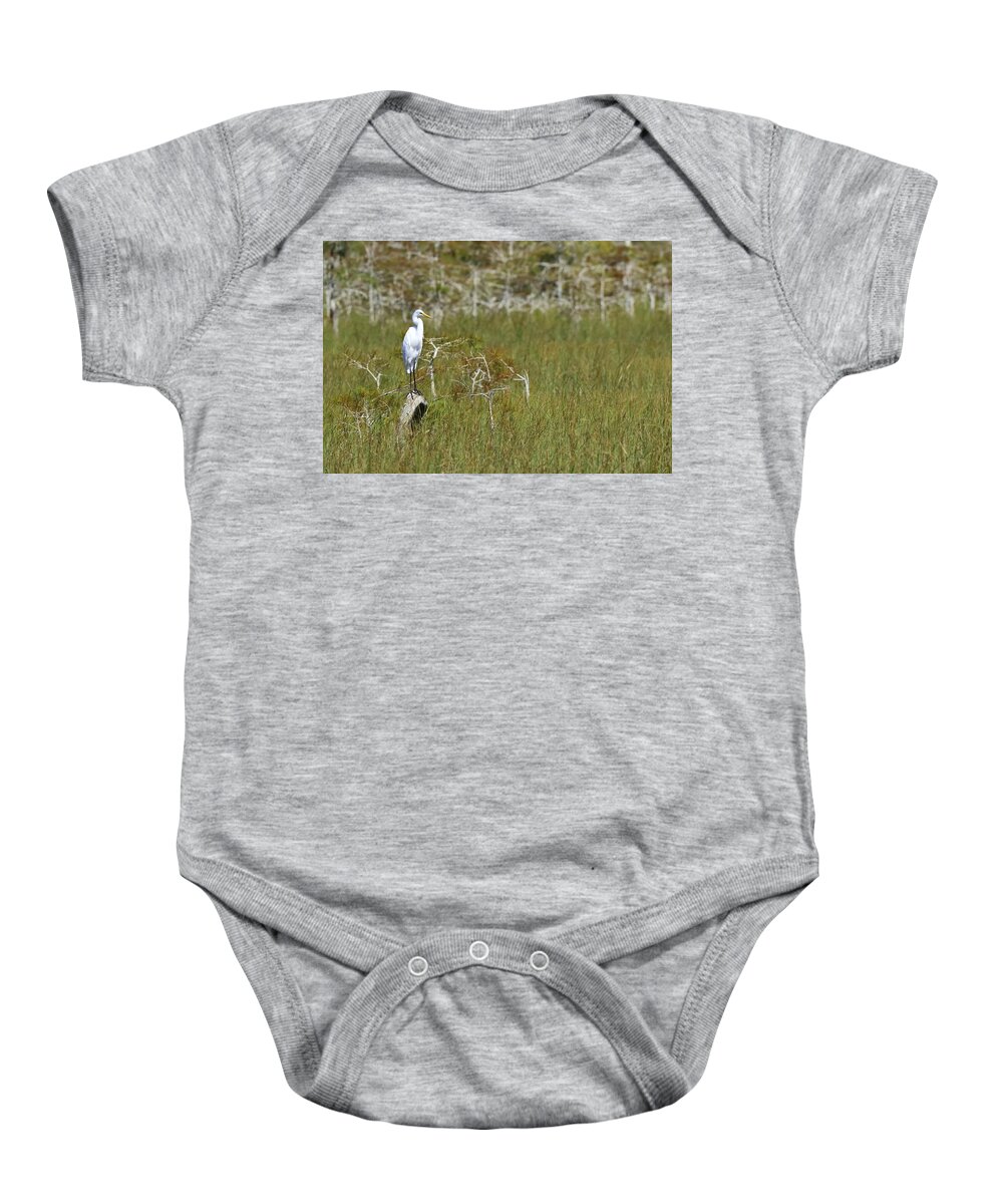 Everglades National Park Baby Onesie featuring the photograph Everglades 451 by Michael Fryd