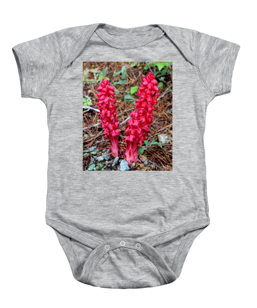 Exotic Baby Onesie featuring the photograph Exotic flower or by Marie Neder