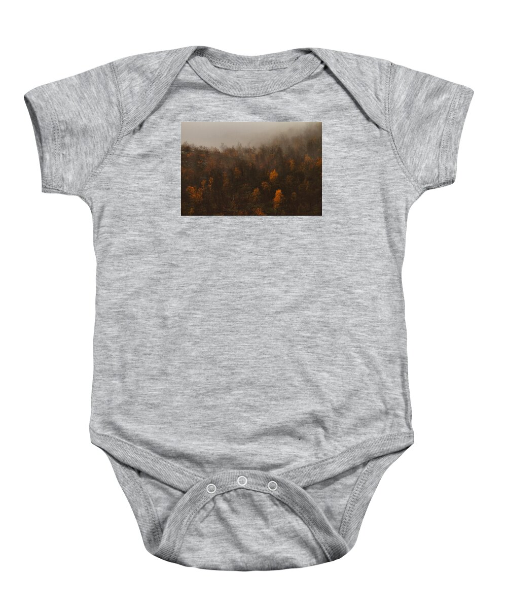 Fall Baby Onesie featuring the photograph Fading Fall Colors I by Pekka Sammallahti