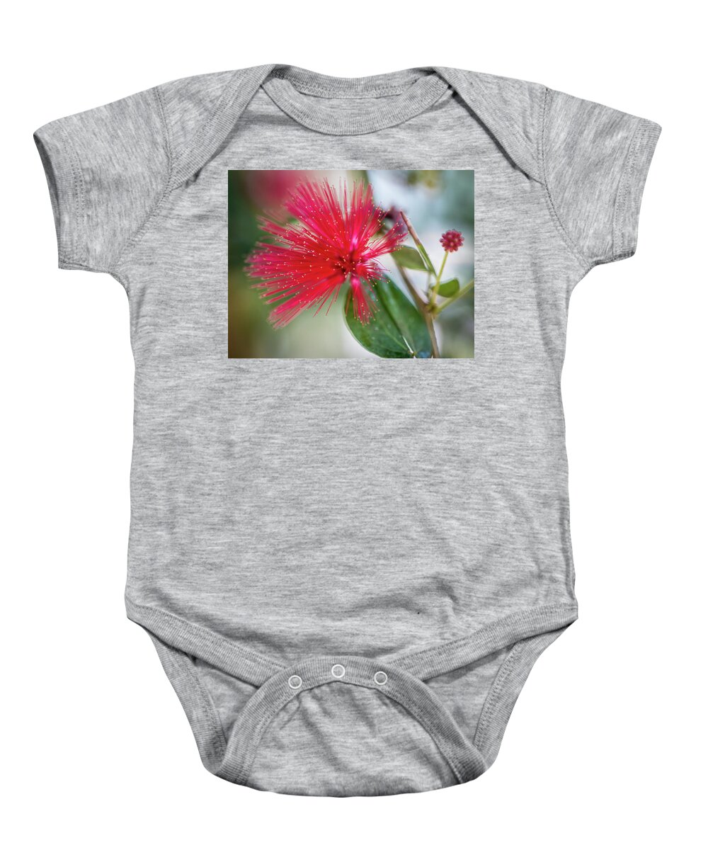 Fairy Baby Onesie featuring the photograph Fairy Duster by Susie Weaver