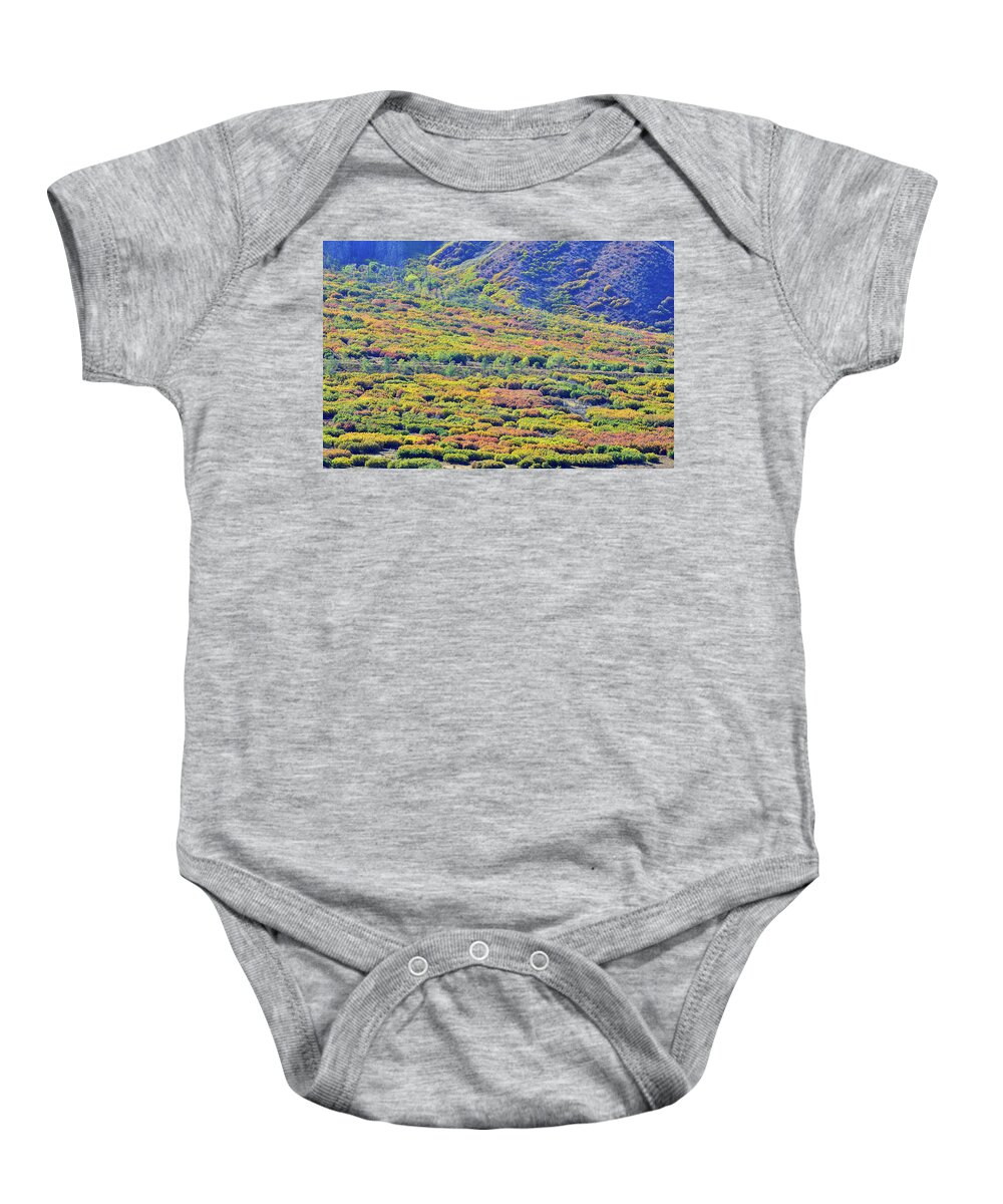 Colorado Baby Onesie featuring the photograph Fall Colors on the Foothills of Glenwood Spring by Ray Mathis