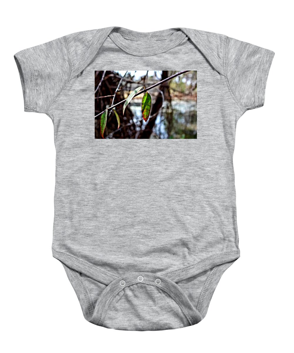 Baby Onesie featuring the photograph Fall Leaf by Elizabeth Harllee