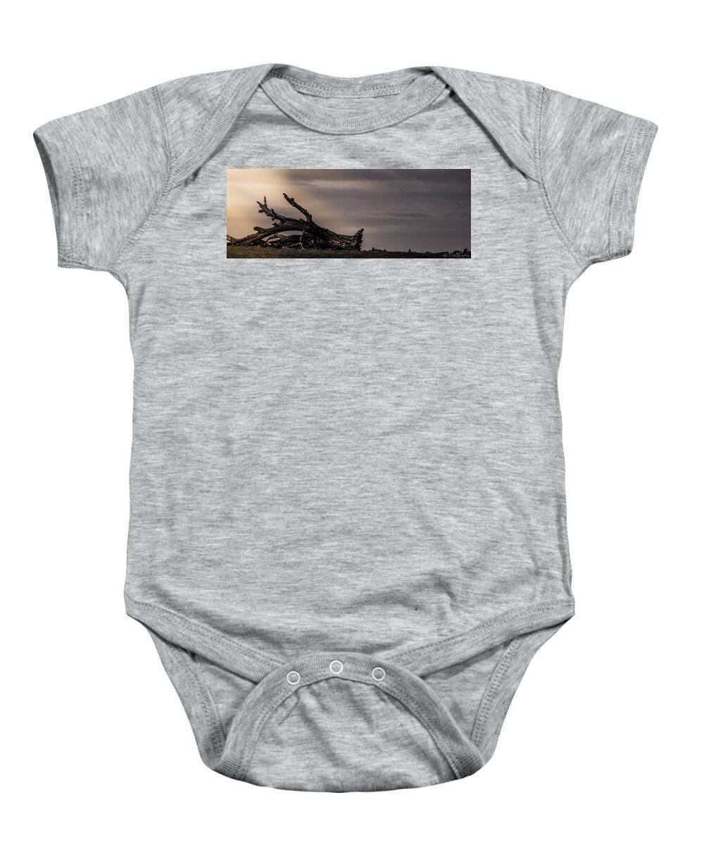 Trees Baby Onesie featuring the photograph Fallen Giant by Wendy Carrington