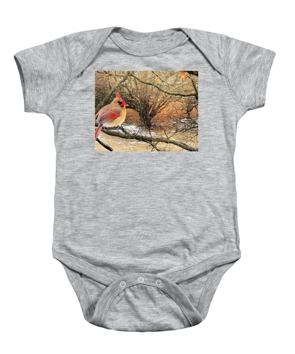Female Baby Onesie featuring the photograph Female Cardinal Caught in the Snow by Janette Boyd