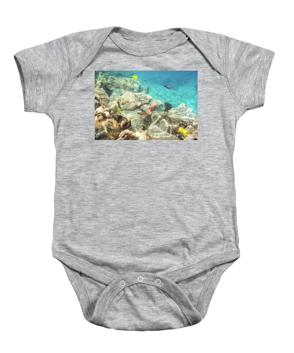 Fish Baby Onesie featuring the photograph Colorful Fish by Karen Nicholson