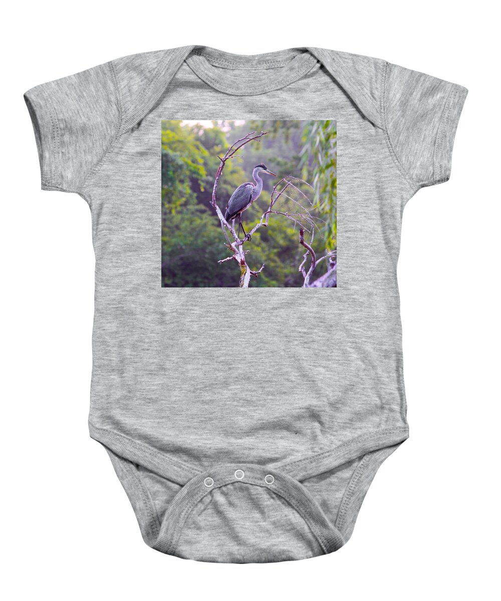 Related Tags: Baby Onesie featuring the photograph Fishin from a tree by Robert Pearson