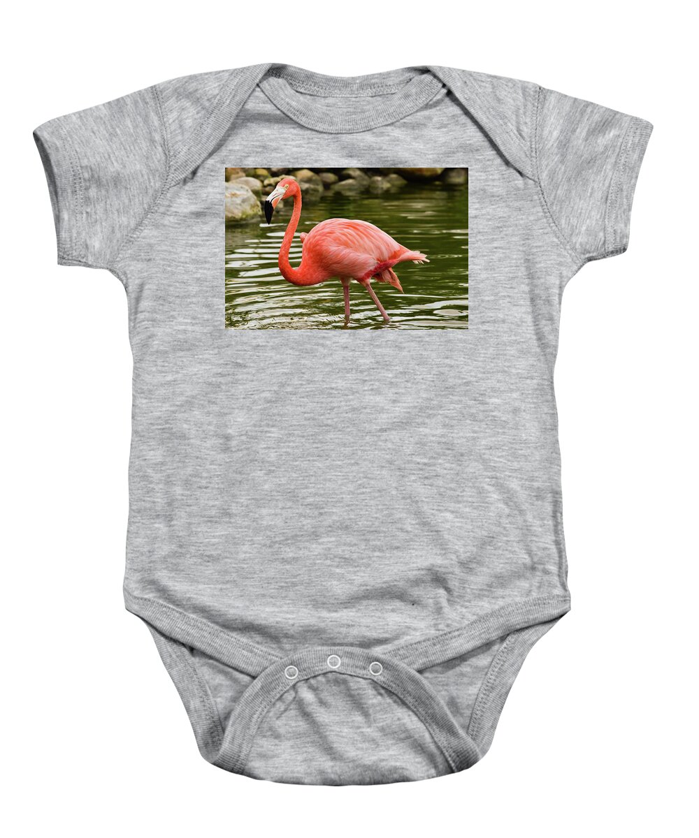 Flamingo Baby Onesie featuring the photograph Flamingo Wades by Nicole Lloyd