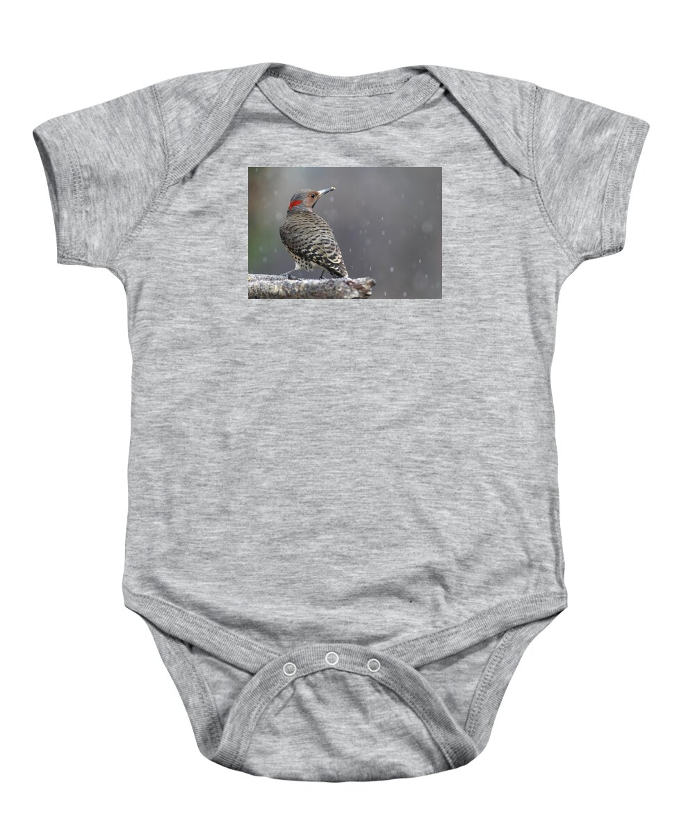 Yellow Baby Onesie featuring the photograph Flicker in snowstorm by Jack Nevitt