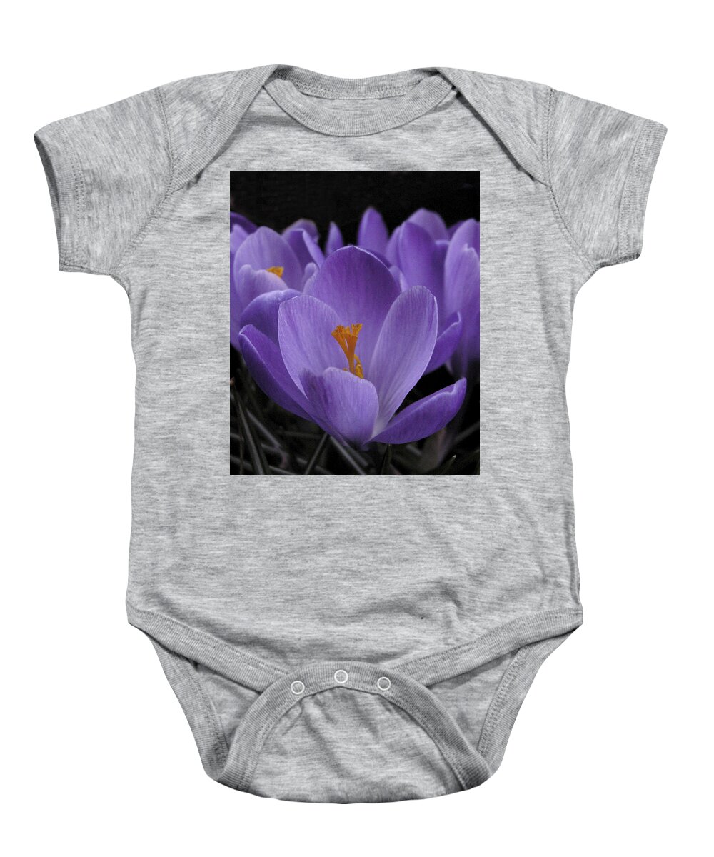 Flowers Baby Onesie featuring the photograph Flower Crocus by Nancy Griswold