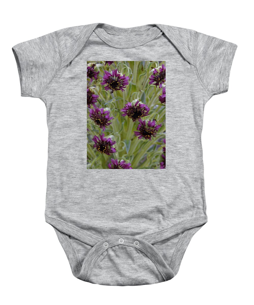 Maui Silversword Baby Onesie featuring the photograph Flowers of the Maui Silversword by Heidi Fickinger