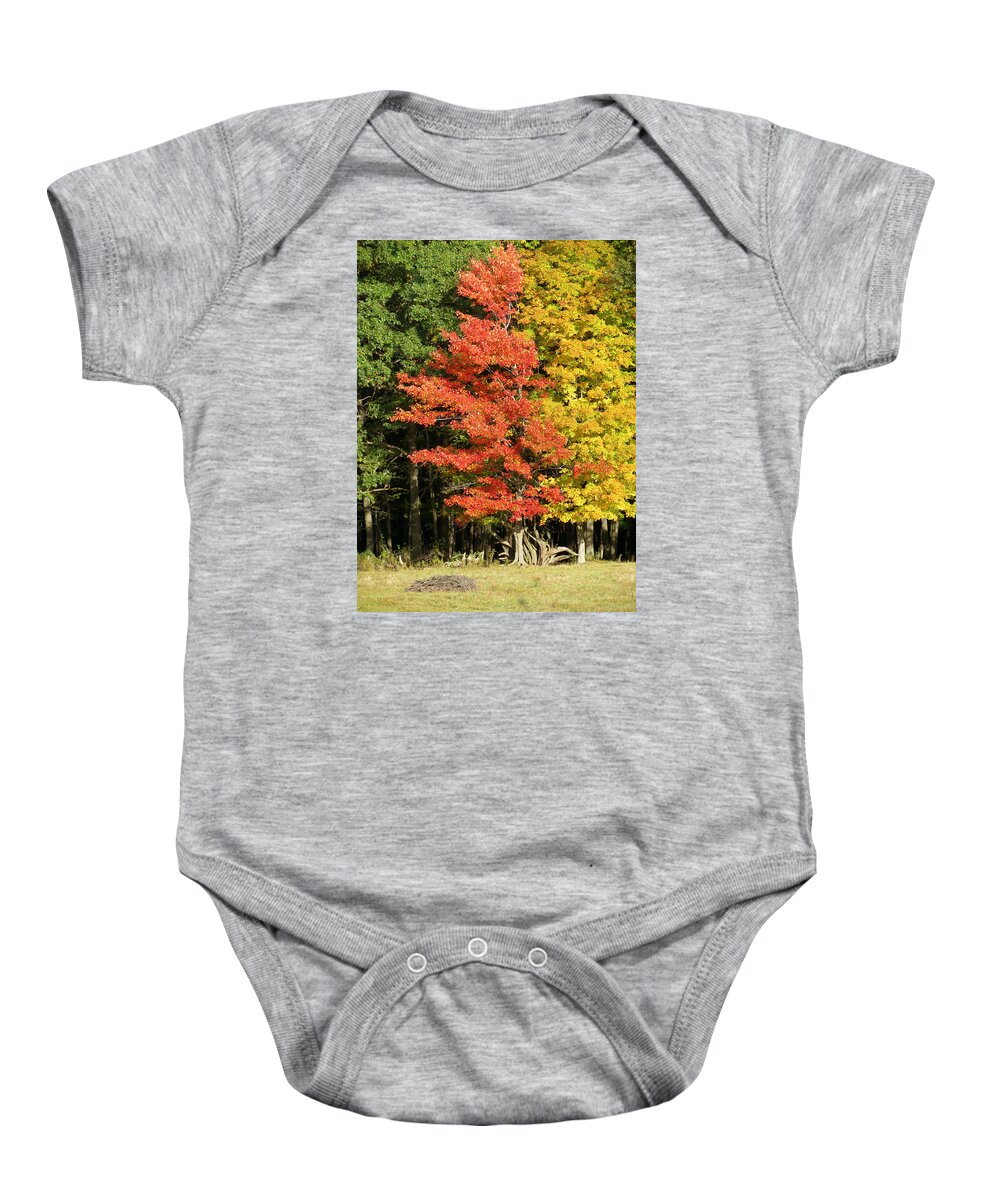 Trees Baby Onesie featuring the photograph Forest Door by Azthet Photography