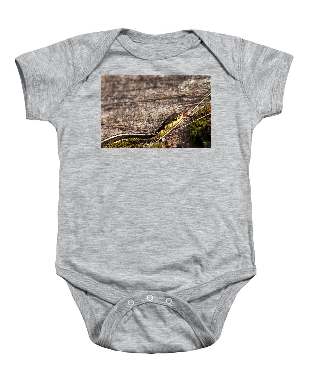 Garter Snake Baby Onesie featuring the photograph Forked Tongue by Debbie Oppermann