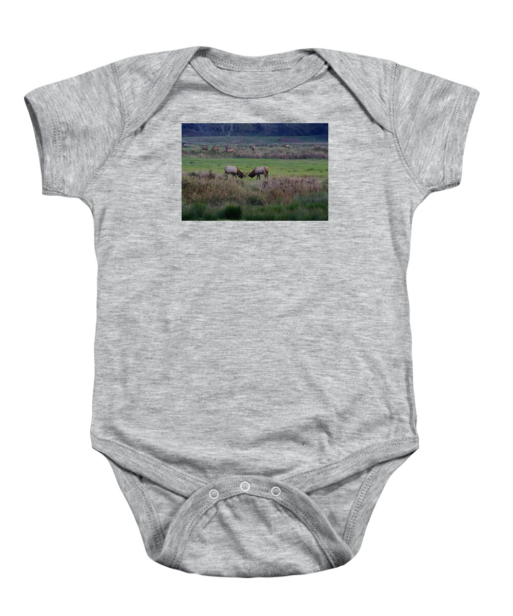 Adria Trail Baby Onesie featuring the photograph Friendly Spar by Adria Trail